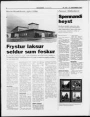 Síða 8