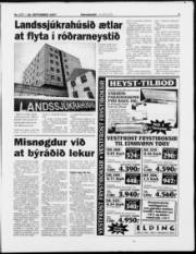 Síða 3