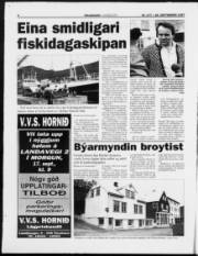 Síða 4