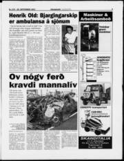 Síða 5
