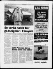Síða 7