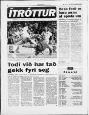 Síða 8