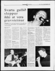 Síða 12