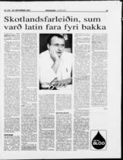 Síða 19