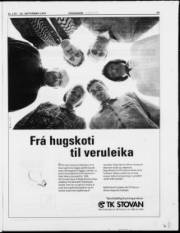 Síða 23