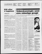 Síða 2