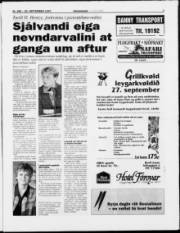Síða 3