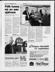Síða 5