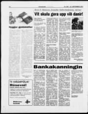 Síða 22