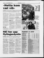 Síða 13