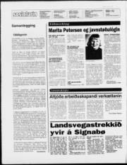 Síða 2