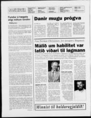 Síða 2