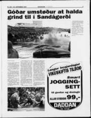 Síða 5