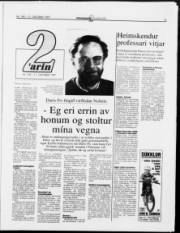 Síða 13