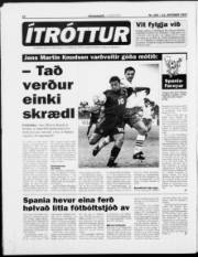 Síða 22