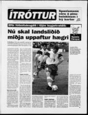 Síða 11