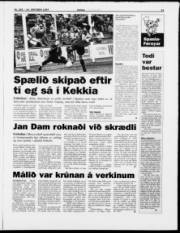 Síða 13