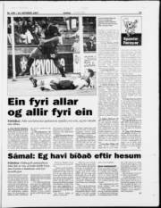 Síða 17