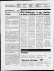 Síða 2