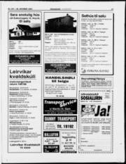 Síða 17