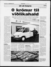 Síða 11