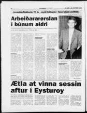 Síða 20