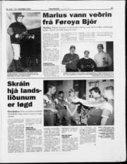 Síða 23
