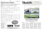 Síða 12