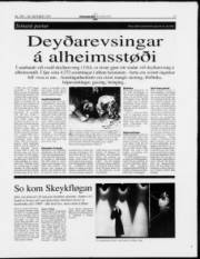 Síða 17