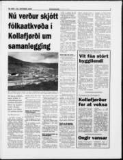 Síða 7