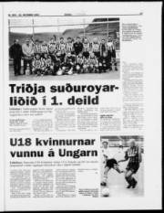 Síða 17