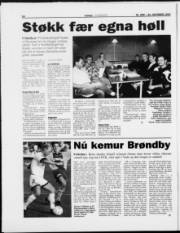Síða 18
