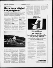 Síða 5