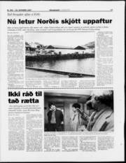 Síða 17