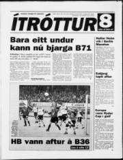 Síða 11