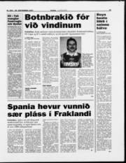 Síða 15
