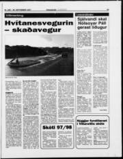 Síða 19