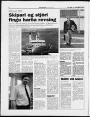 Síða 6