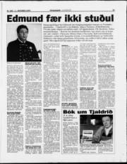 Síða 21