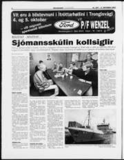 Síða 6