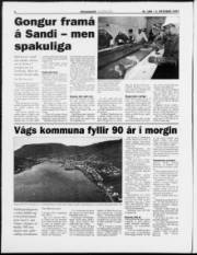 Síða 6