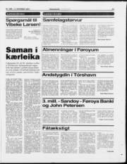 Síða 23