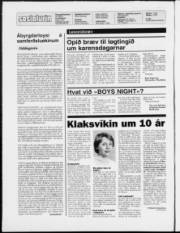 Síða 2