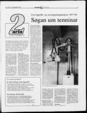 Síða 11