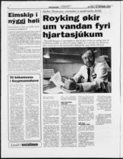 Síða 4
