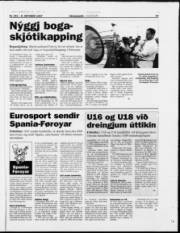 Síða 15