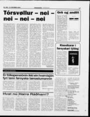 Síða 17