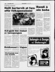 Síða 4