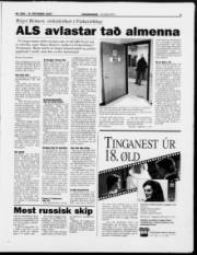 Síða 6