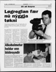 Síða 12